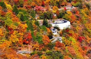 いろは坂　紅葉